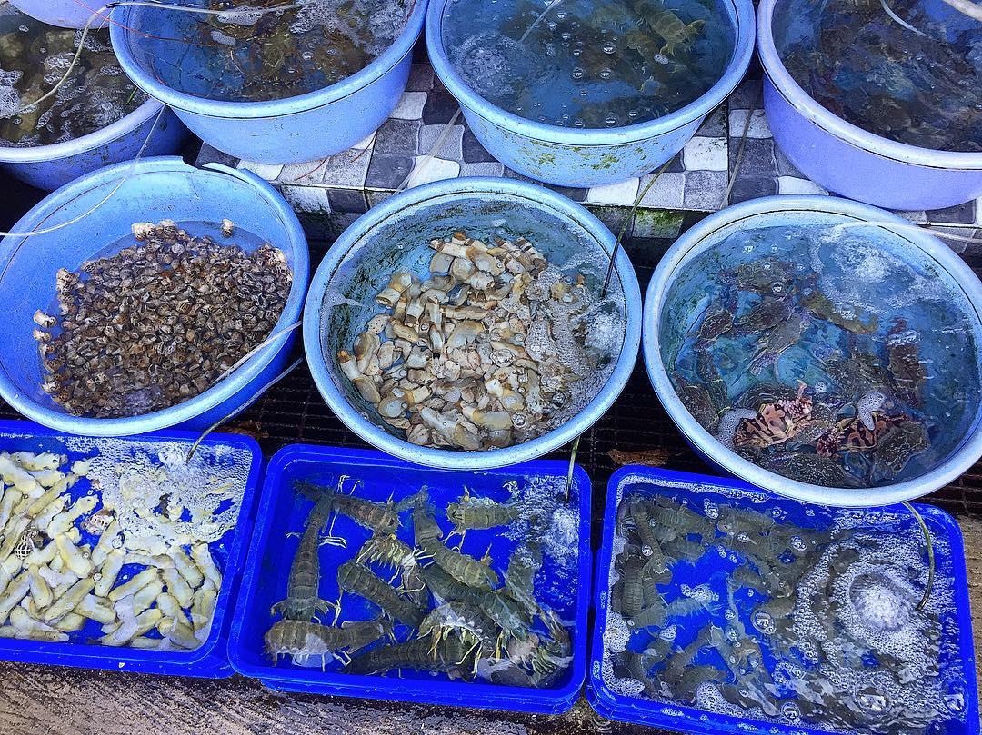 Những địa điểm hải sản ngon ở Vũng Tàu  ảnh 8 Nhung dia diem hai san ngon o Vung Tau anh 8