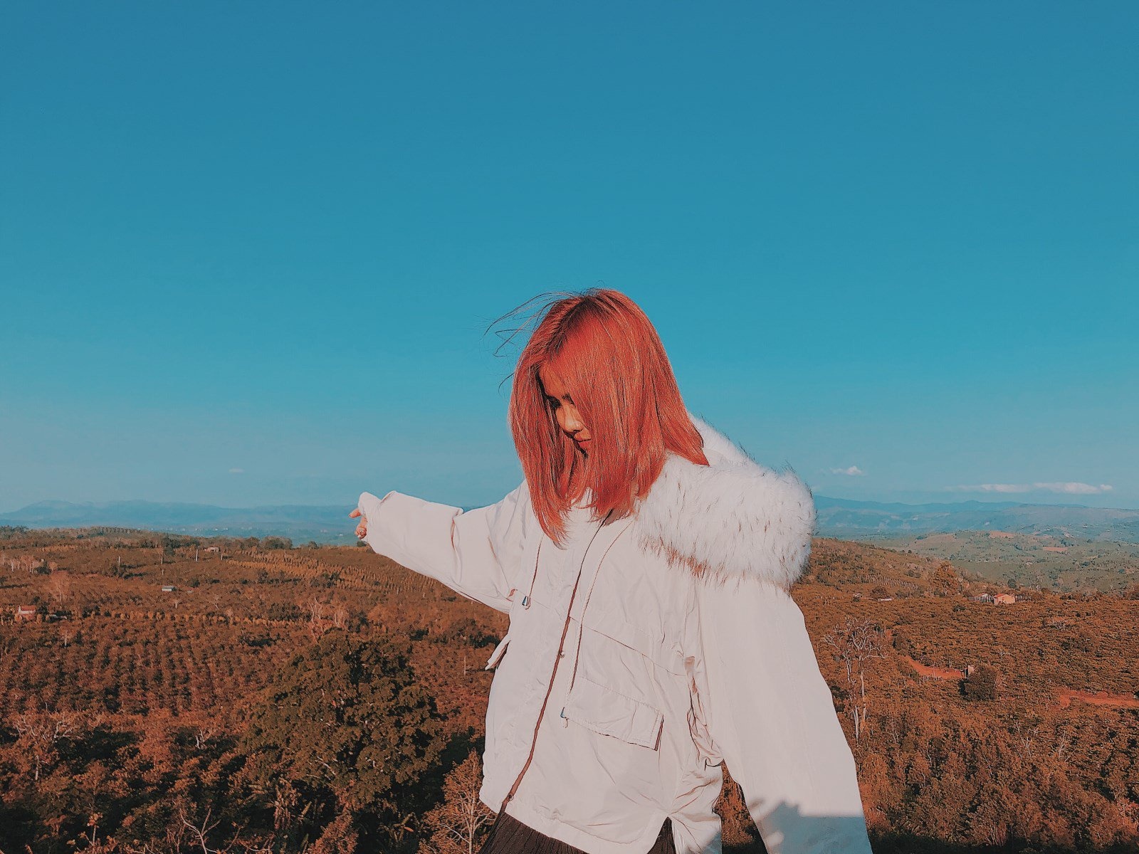 Canh dong quat gio o  Dak Lak  thu hut hoi song ao check-in anh 10