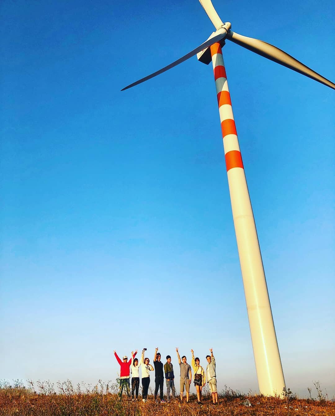 Canh dong quat gio o  Dak Lak  thu hut hoi song ao check-in anh 11