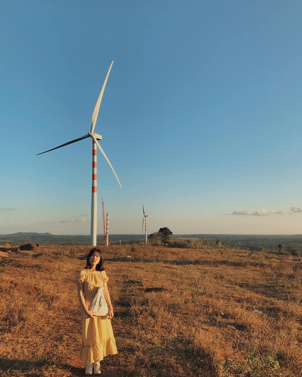 Canh dong quat gio o  Dak Lak  thu hut hoi song ao check-in anh 1