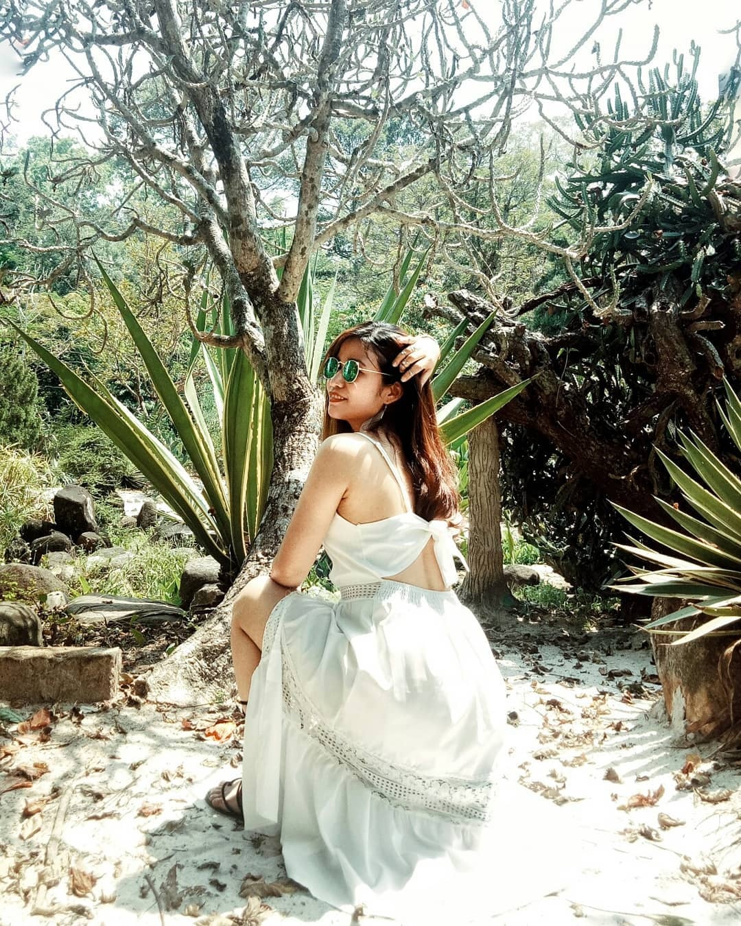 Thảo Cầm Viên thu hút giới trẻ với những góc check-in đẹp ảnh 12 Thao Cam Vien thu hut gioi tre voi nhung goc check-in dep anh 12