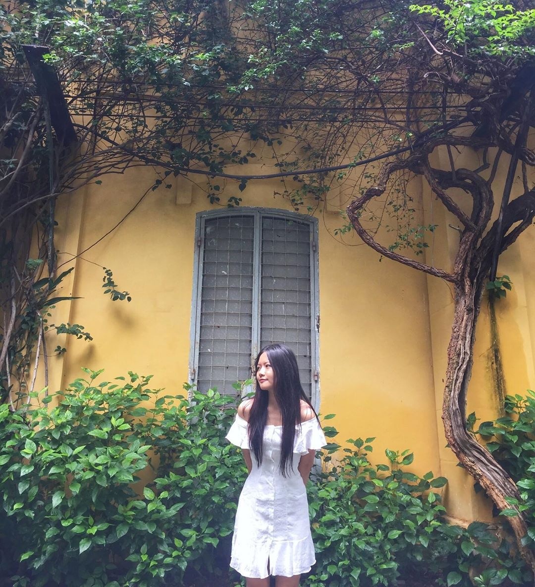 Thảo Cầm Viên thu hút giới trẻ với những góc check-in đẹp ảnh 11 Thao Cam Vien thu hut gioi tre voi nhung goc check-in dep anh 11