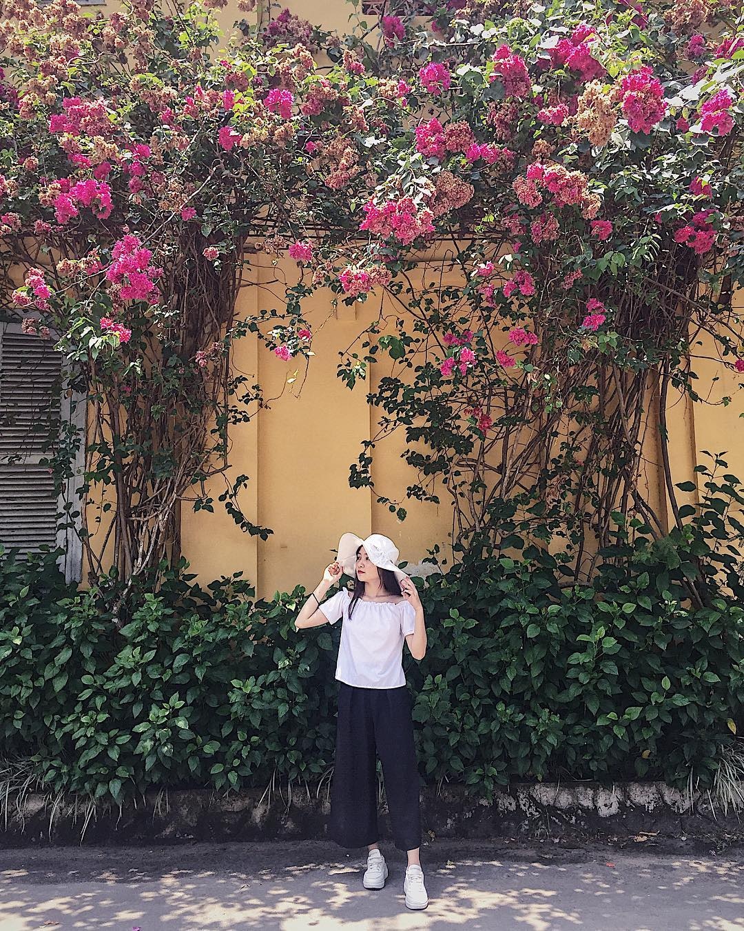 Thảo Cầm Viên thu hút giới trẻ với những góc check-in đẹp ảnh 7 Thao Cam Vien thu hut gioi tre voi nhung goc check-in dep anh 7