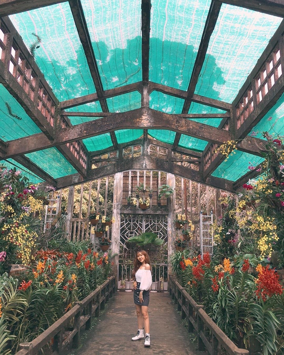 Thảo Cầm Viên thu hút giới trẻ với những góc check-in đẹp ảnh 6 Thao Cam Vien thu hut gioi tre voi nhung goc check-in dep anh 6