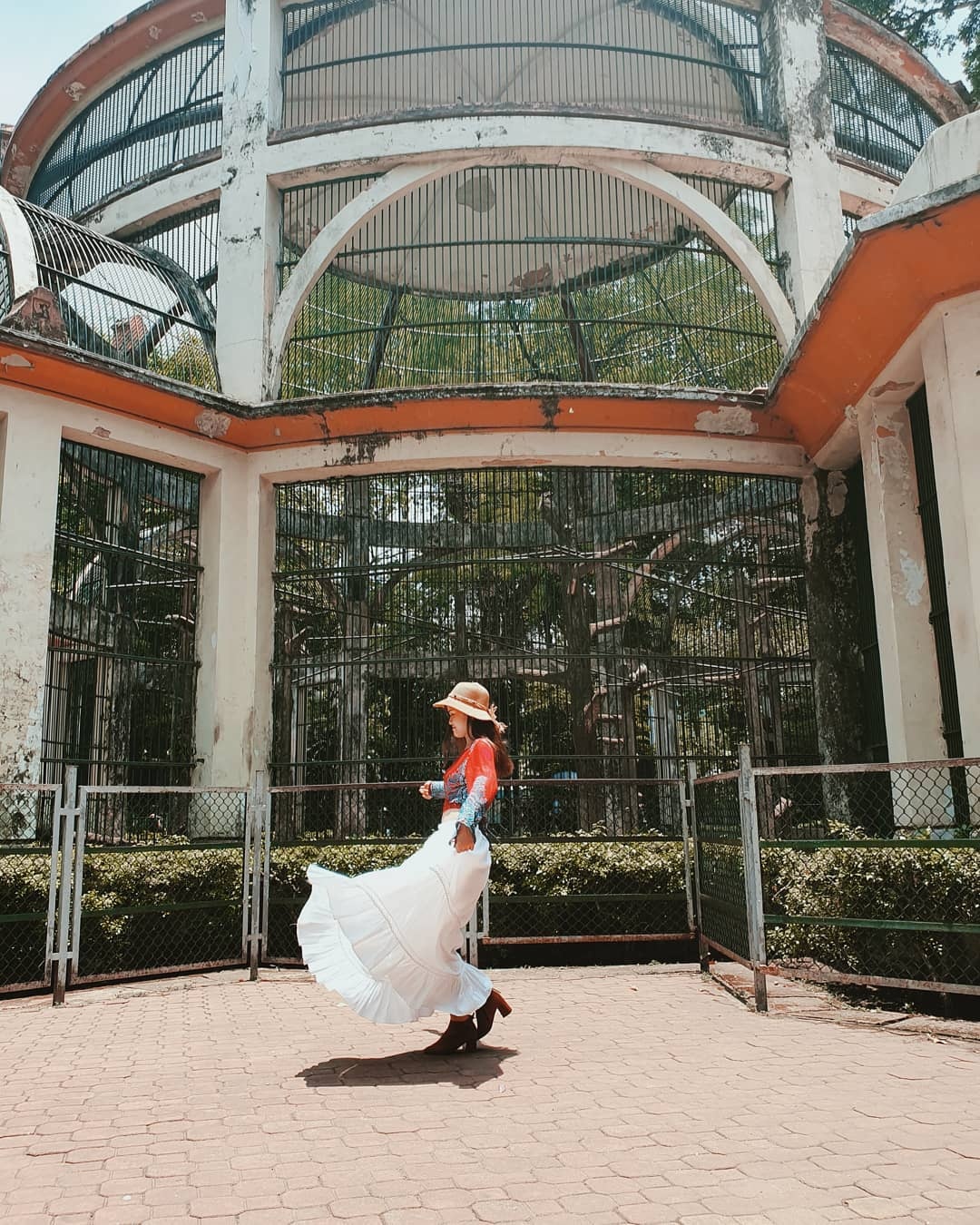 Thảo Cầm Viên thu hút giới trẻ với những góc check-in đẹp ảnh 2 Thao Cam Vien thu hut gioi tre voi nhung goc check-in dep anh 2