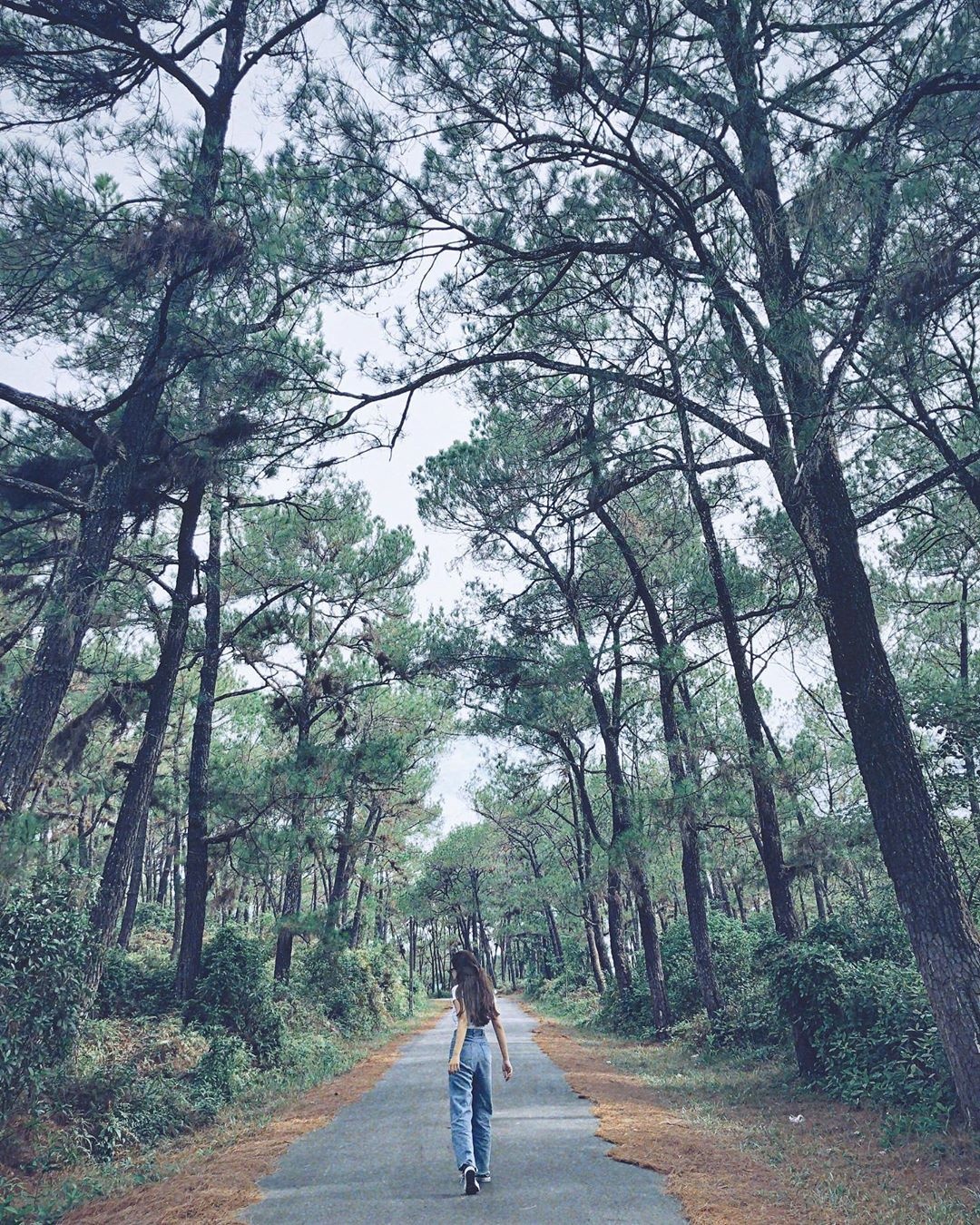 Thien An xu Hue  thu hut gioi tre check-in anh 1