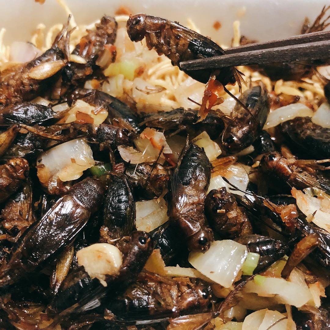 Bun do va nhung mon dac san Tay Nguyen anh 9