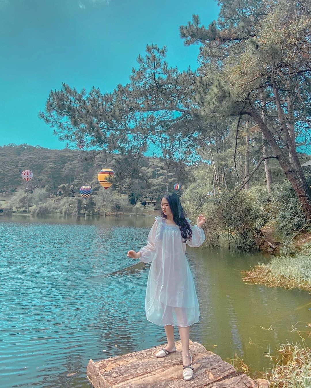 Đà Lạt xuất hiện khu rừng khinh khí cầu lên hình tuyệt đẹp ảnh 1 Da Lat xuat hien khu rung khinh khi cau len hinh tuyet dep anh 1