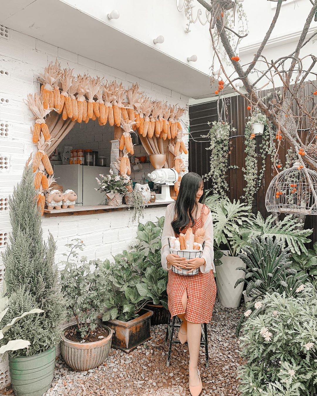 Nhung quan ca phe nhieu cuc hoa mi o Da Lat anh 8