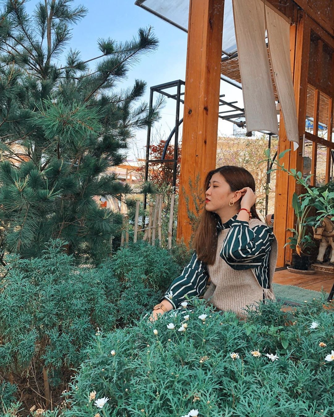 Nhung quan ca phe nhieu cuc hoa mi o Da Lat anh 9