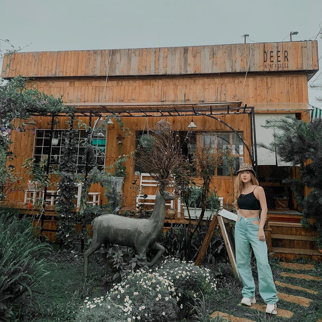 Nhung quan ca phe nhieu cuc hoa mi o Da Lat anh 10