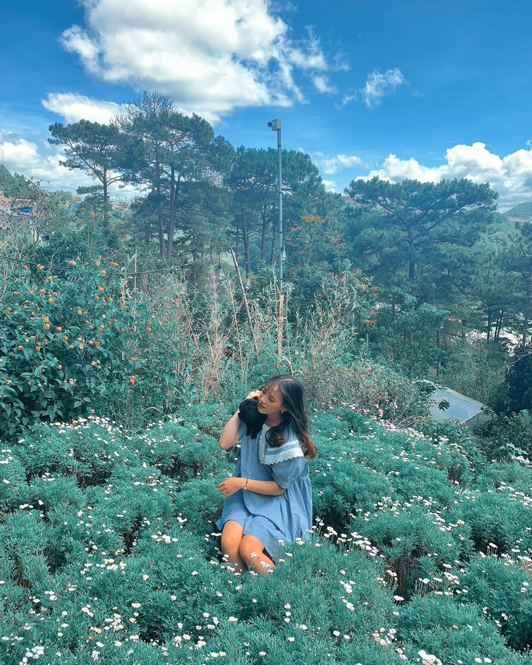 Nhung quan ca phe nhieu cuc hoa mi o Da Lat anh 3