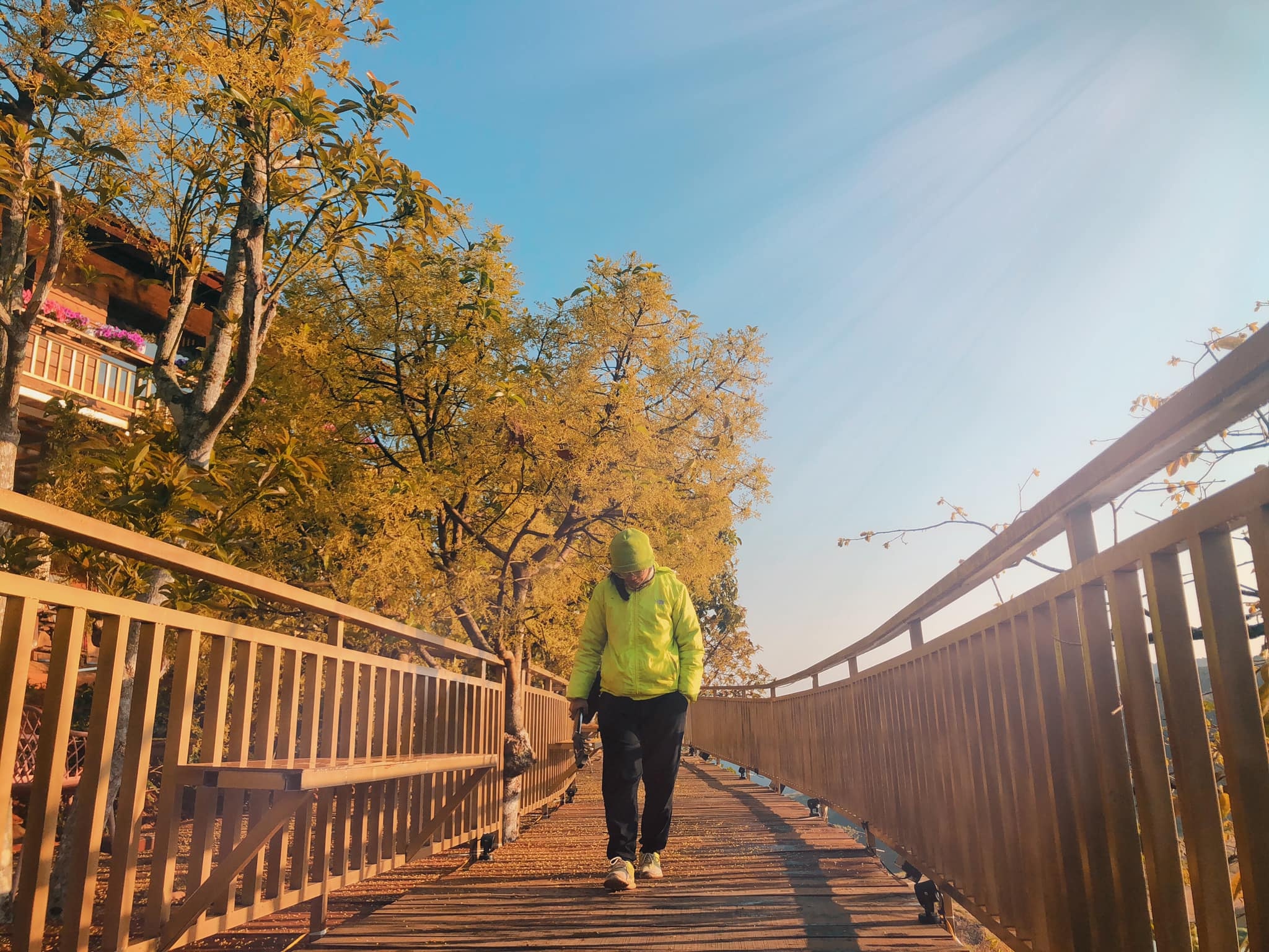 Con duong Han Quoc tuyet dep o Da Lat anh 3