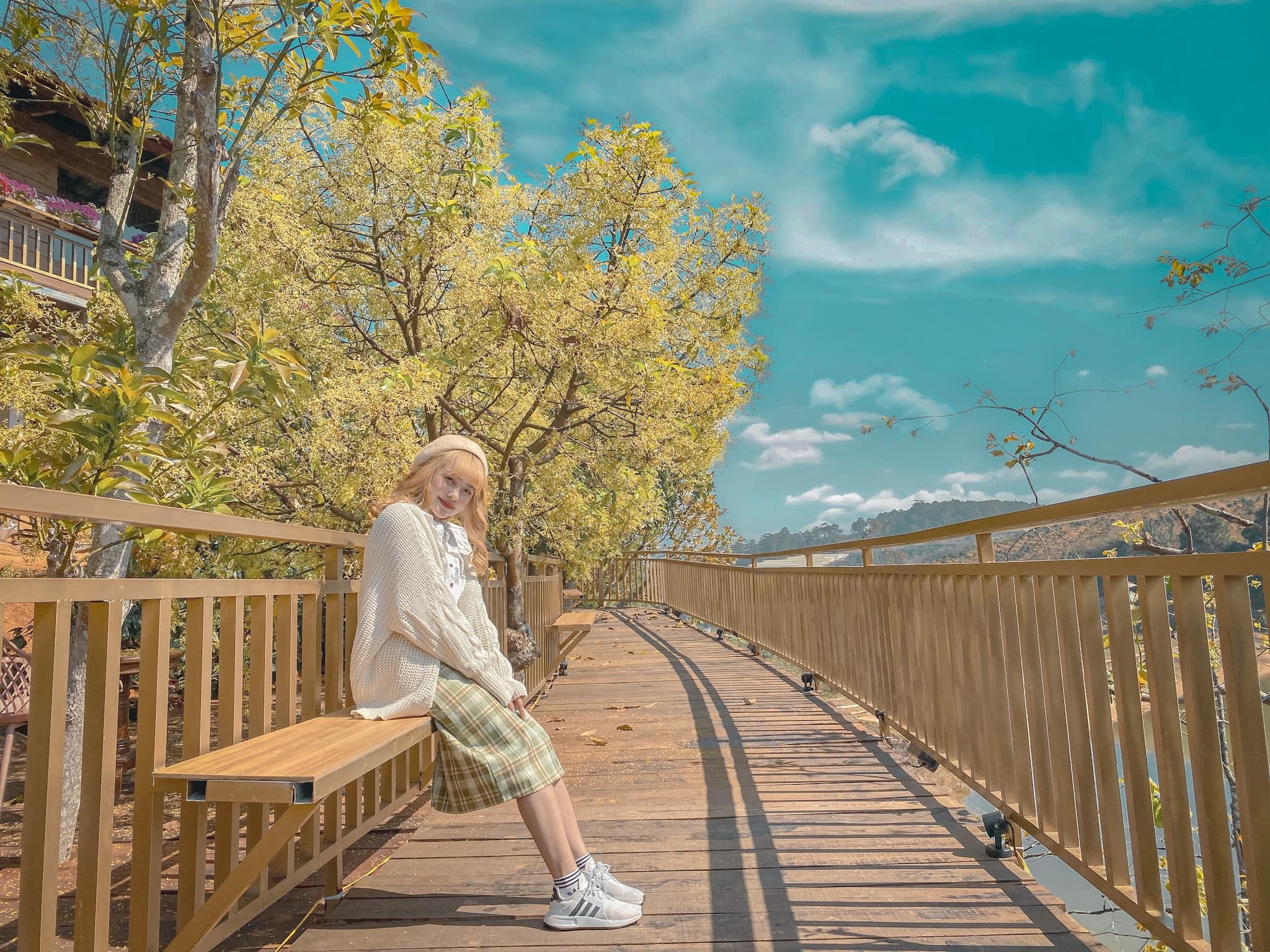 Con duong Han Quoc tuyet dep o Da Lat anh 1