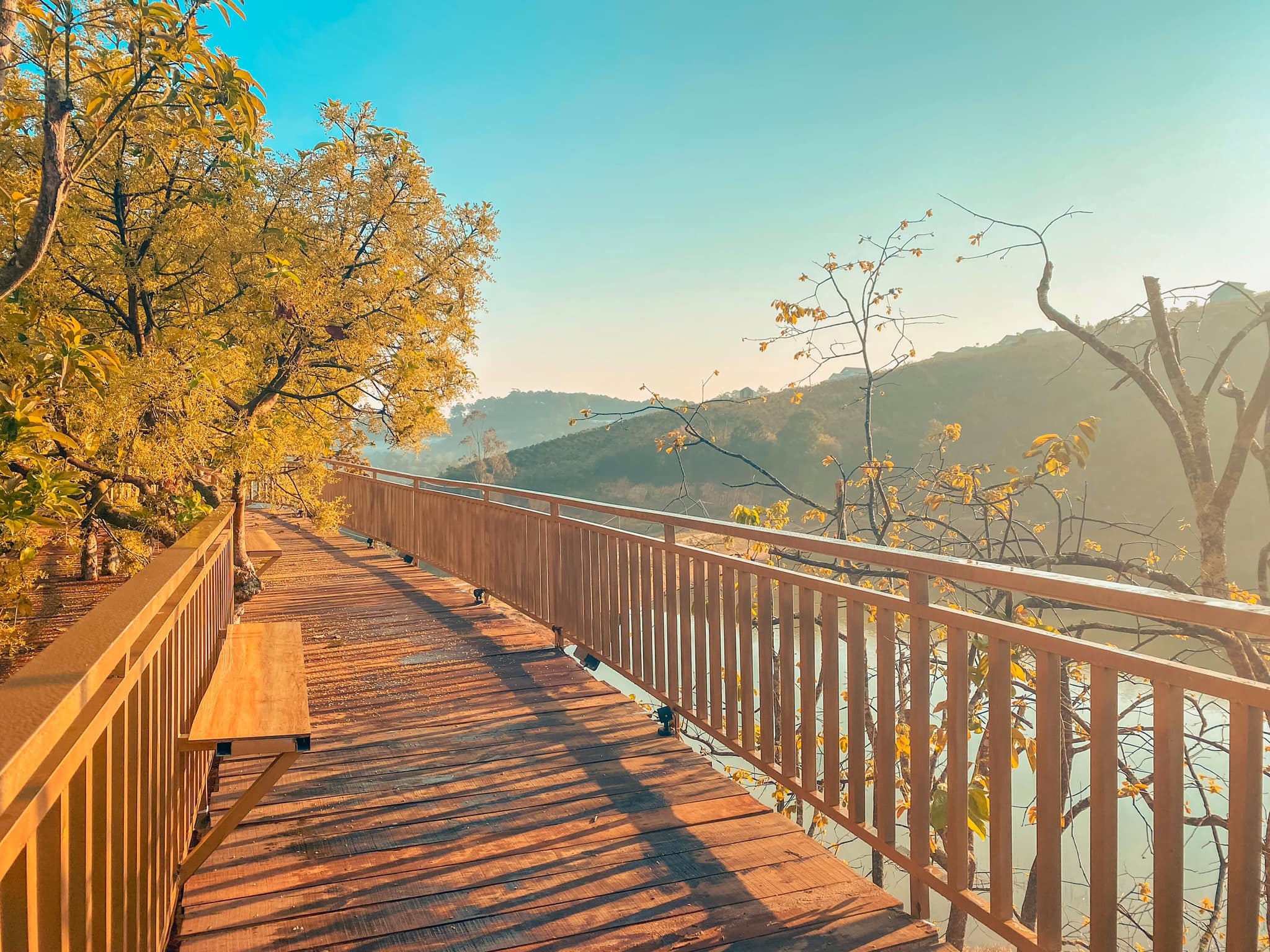 Con duong Han Quoc tuyet dep o Da Lat anh 8