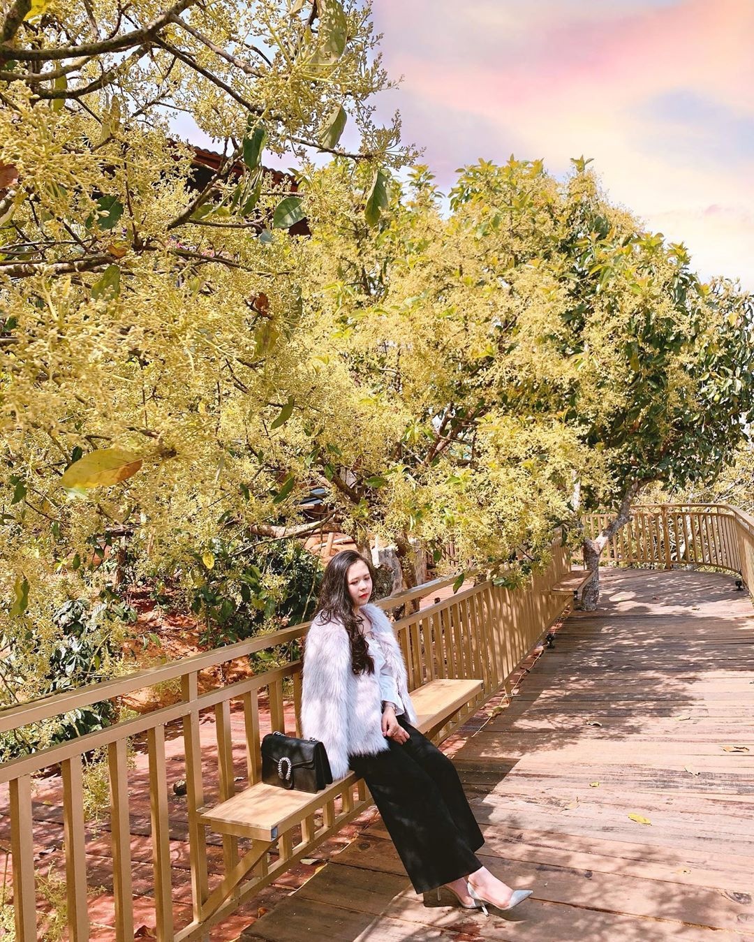 Nhung diem check-in moi mo o Da Lat anh 5