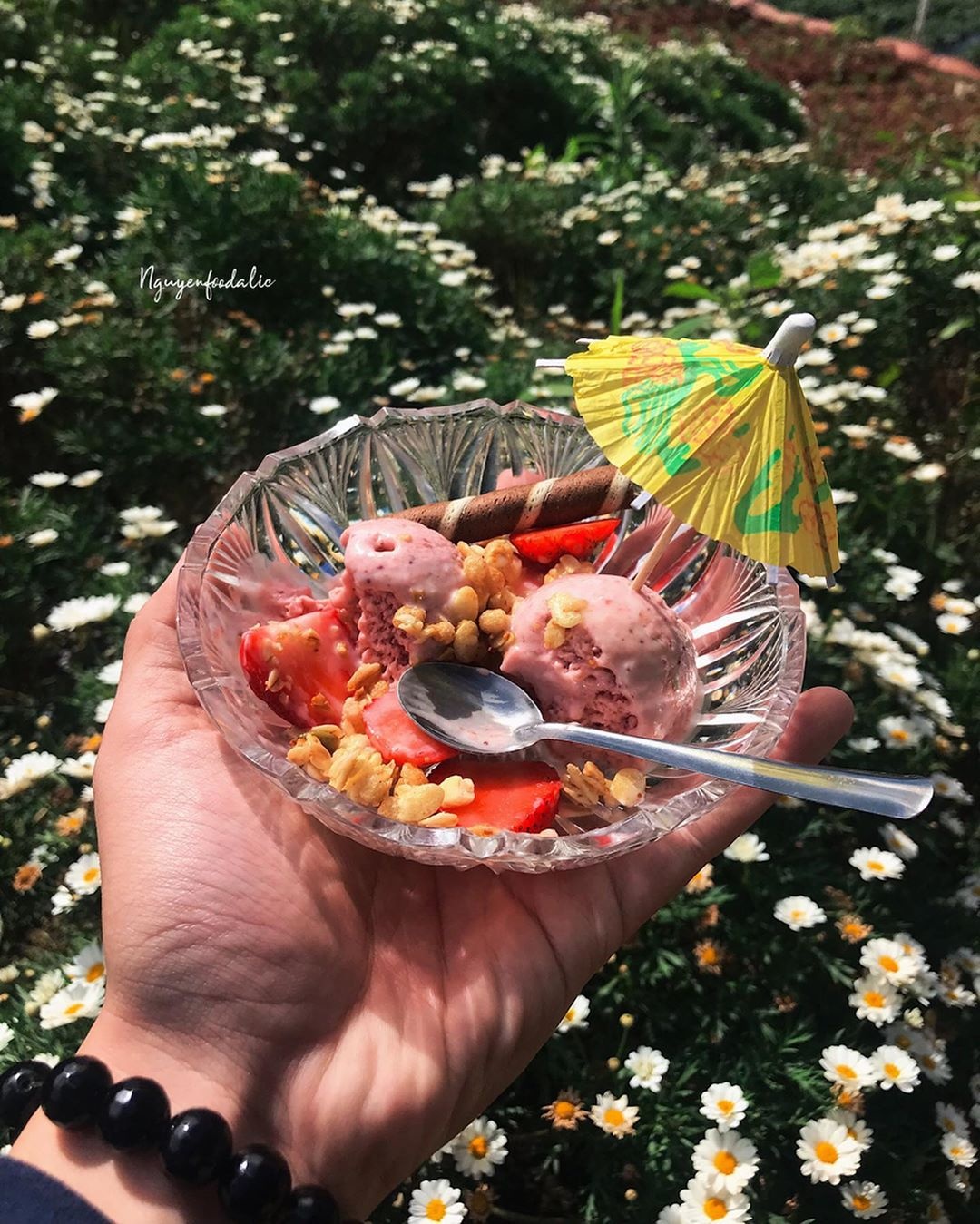 Khu vuon Kem dau cuc hoa mi hut gioi tre o Da Lat anh 5