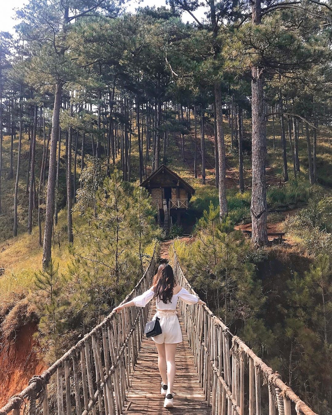 Những điểm check-in nhiều góc đẹp ở Đà Lạt ảnh 7 Nhung diem check-in nhieu goc dep o Da Lat anh 7