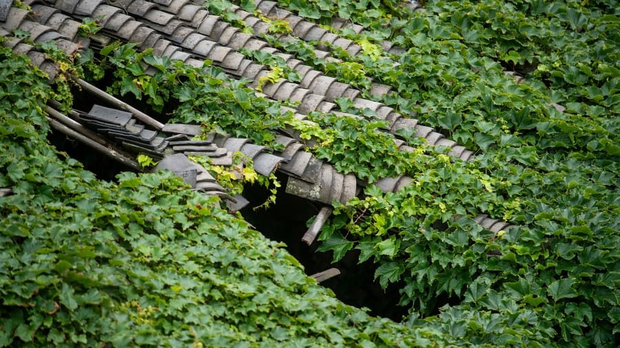 diem nong du lich,  ngoi lang,  trung quoc anh 5