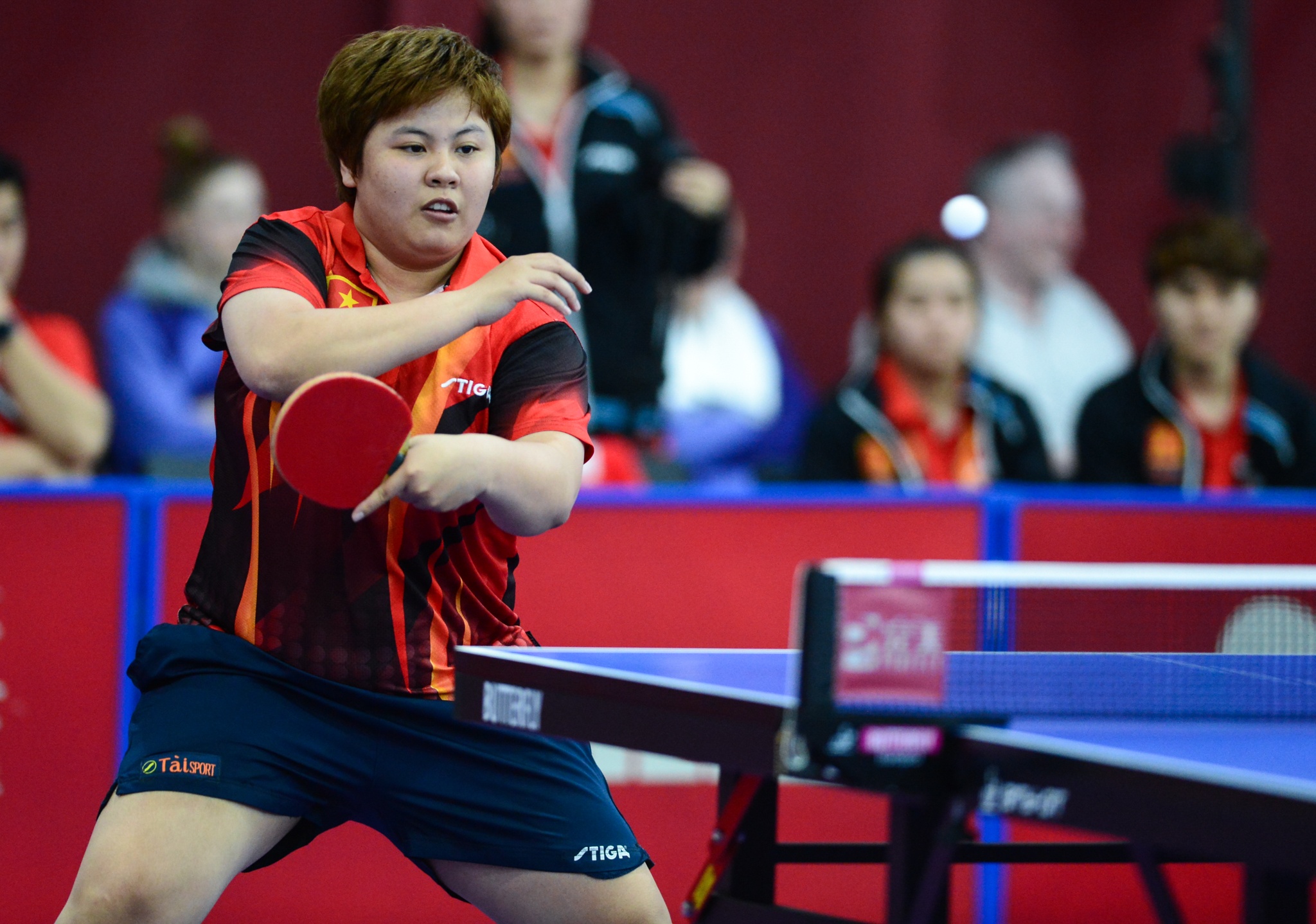 Bong ban nu Viet Nam thang hoa tai giai vo dich the gioi hinh anh