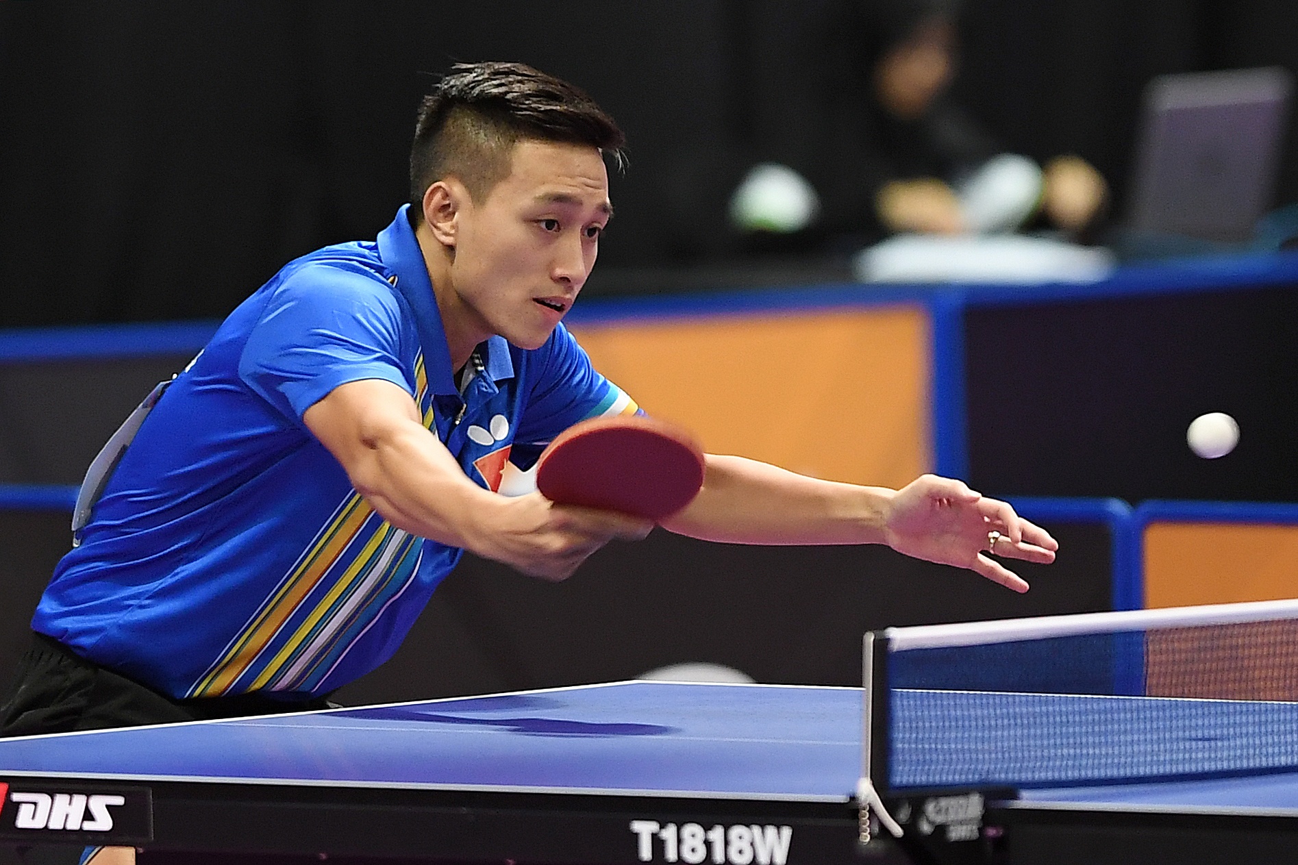 bóng bàn ảnh 1 bong ban anh 1