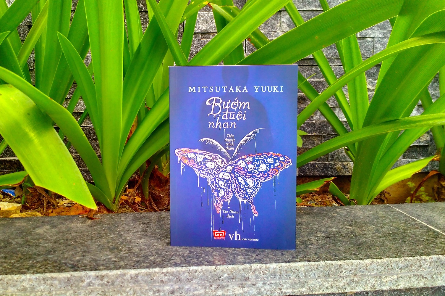 Sách Bướm đuôi nhạn ảnh 1 Sach Buom duoi nhan anh 1
