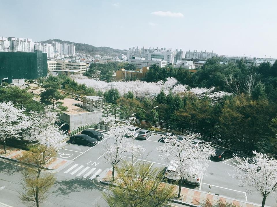 Noi yeu em giua Ulsan long gio hinh anh