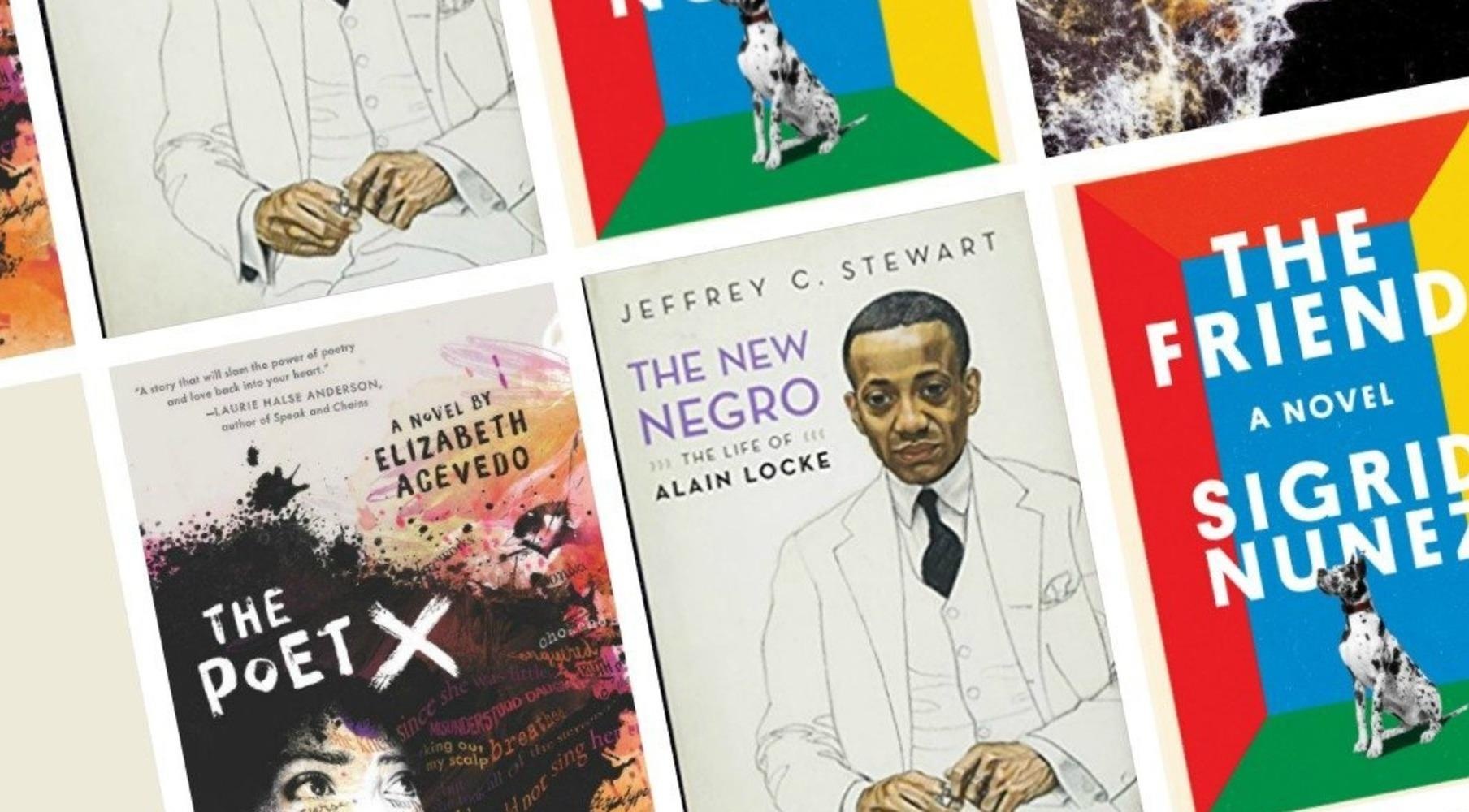 5 tac pham chien thang giai Sach quoc gia My 2018 hinh anh