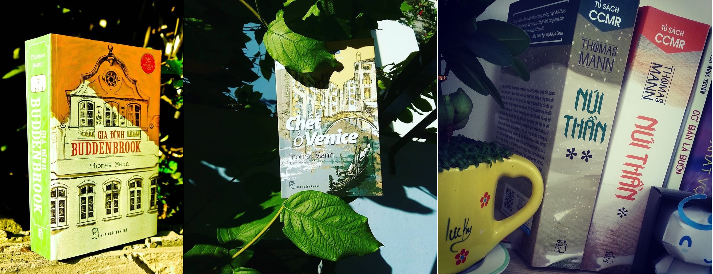 tiểu thuyết cuối cùng của Thomas Mann ảnh 3 tieu thuyet cuoi cung cua Thomas Mann anh 3