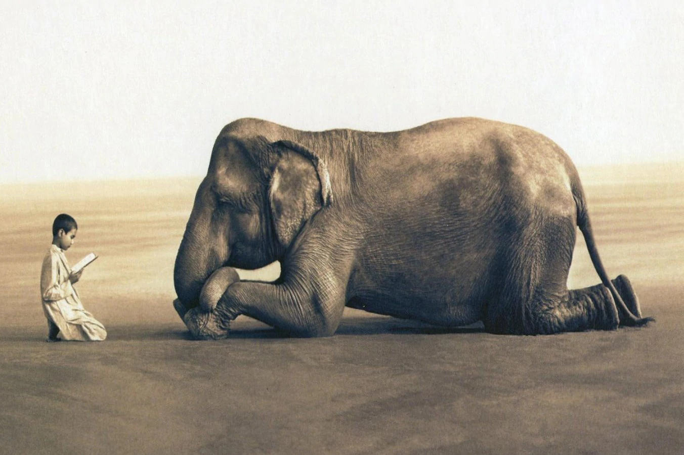 Cau chuyen ve chu voi di bo hon 300 cay so trong suot 10 ngay hinh anh