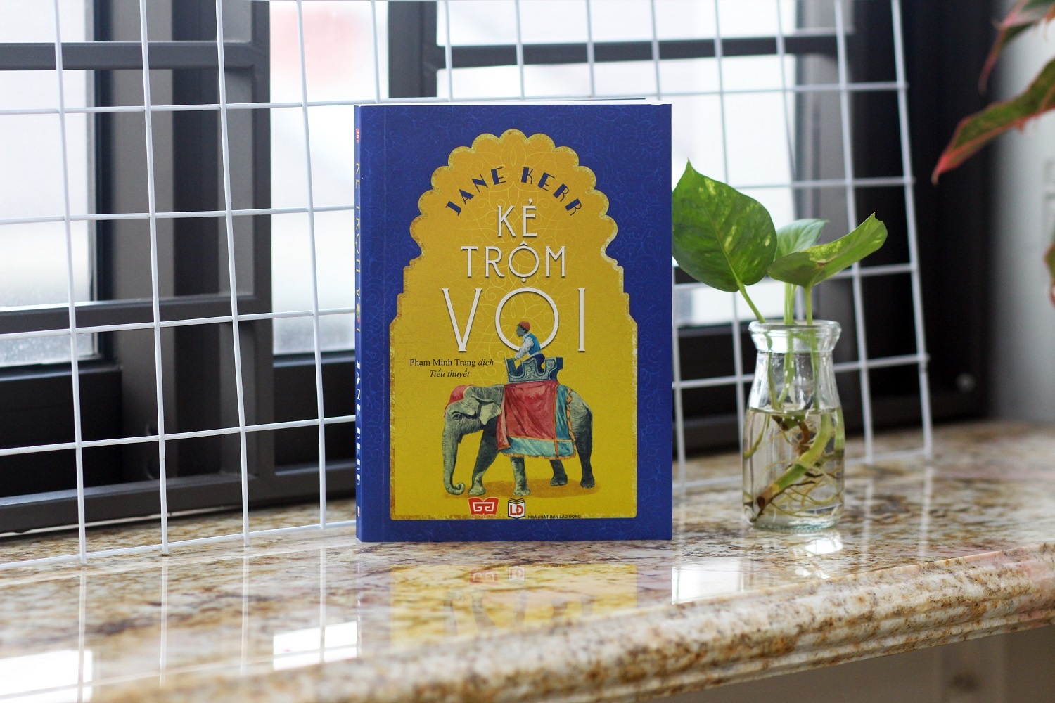 Cau chuyen ve chu voi Maharajah anh 2