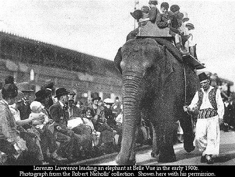 Cau chuyen ve chu voi Maharajah anh 1