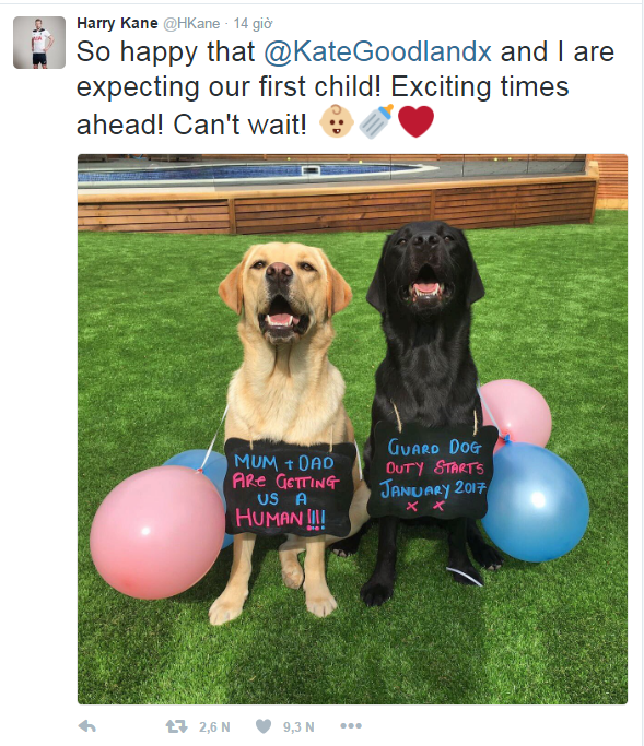 Harry Kane nho cun cung bao tin sap duoc lam bo hinh anh