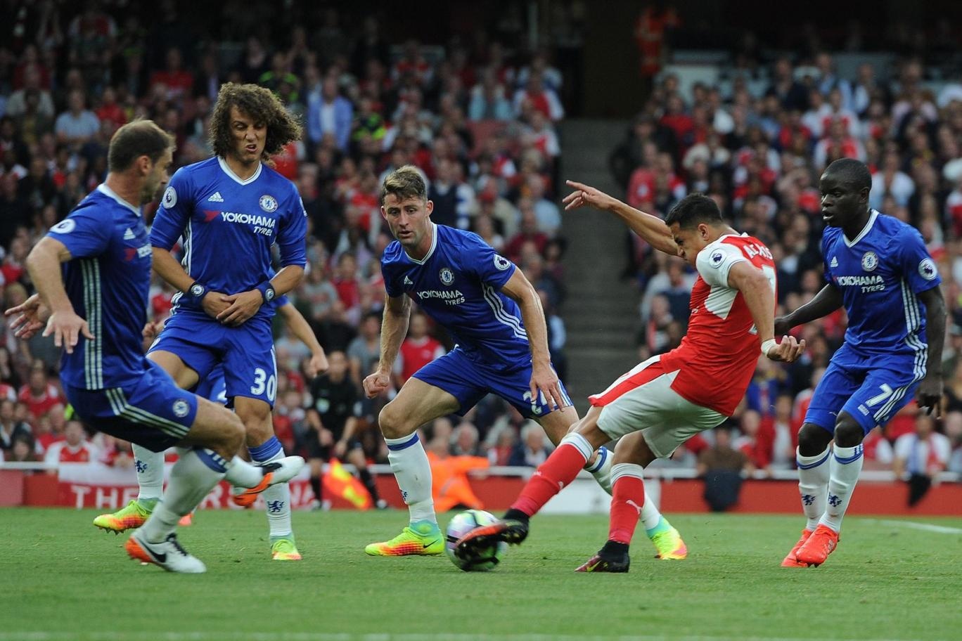 ivanovic tran an co dong vien anh 1