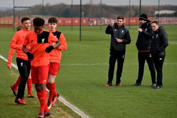 gerrard bat dau lam huan luyen vien anh 5