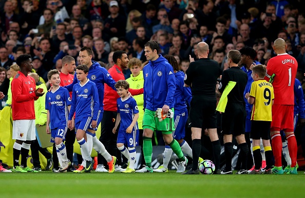 thịt lợn costa ảnh 2 thit lon costa anh 2