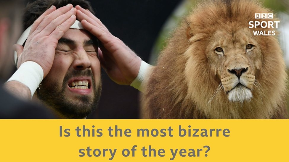 Ngo ngan chuyen VDV tho tay cho su tu can hinh anh