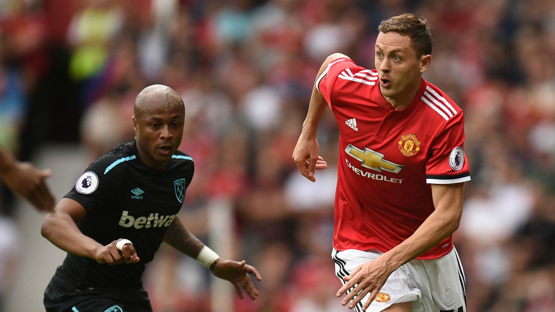 hop dong thanh cong mua nay anh 7