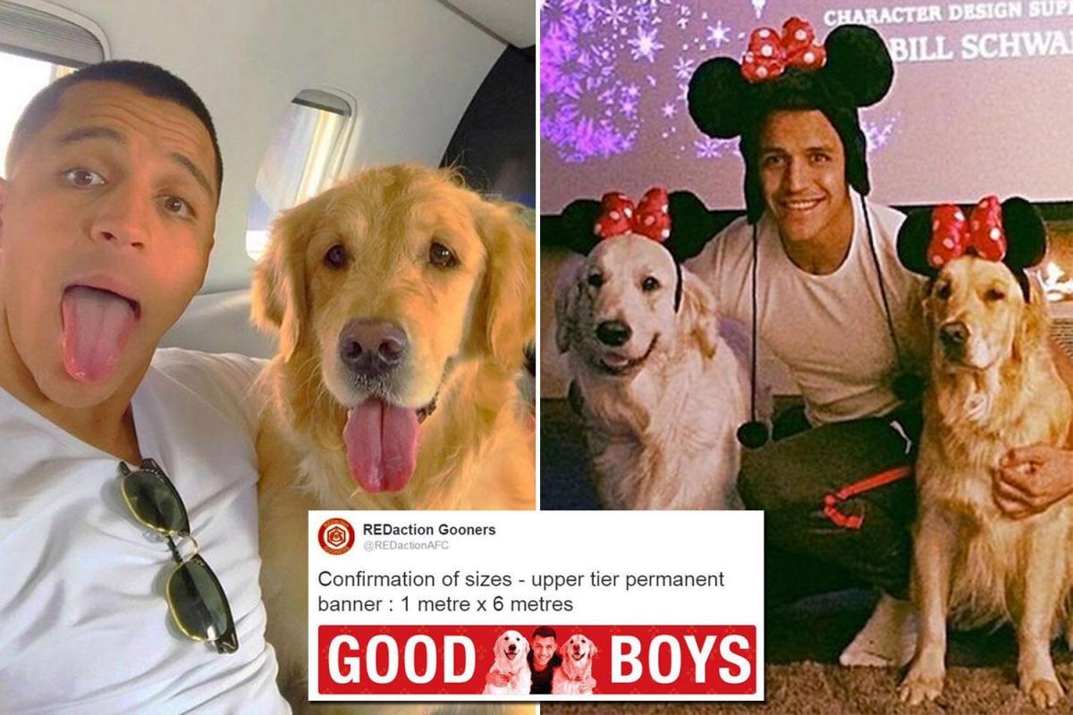 bi mat cua sanchez anh 9