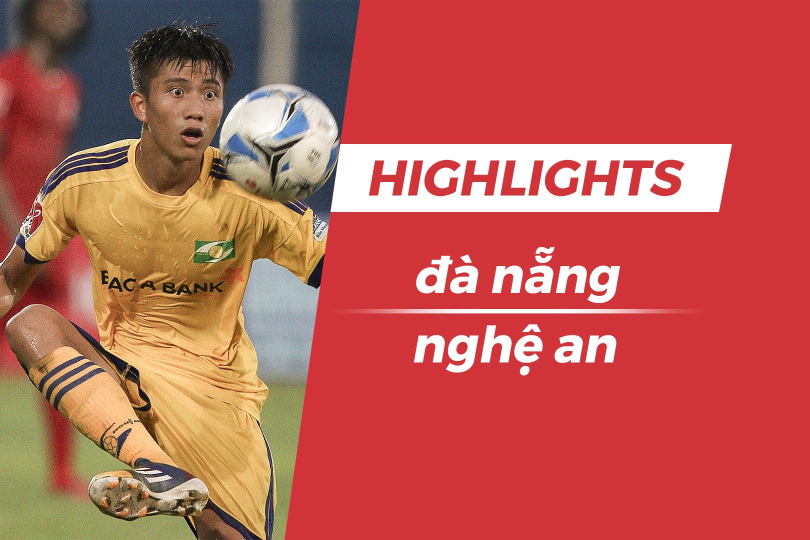 Highlights: Phan Van Duc ghi ban, SLNA chia diem tai Da Nang hinh anh