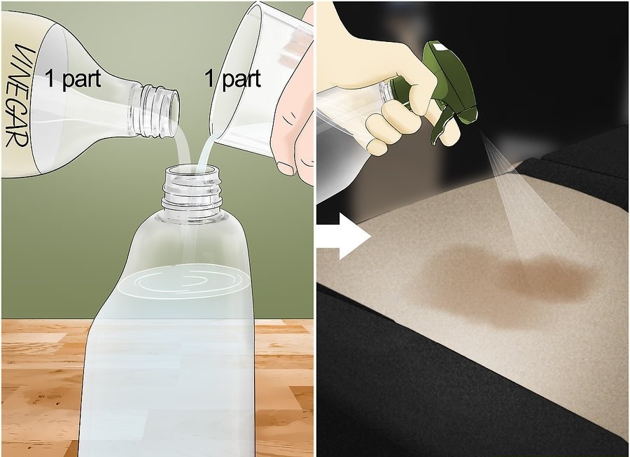 Cach khu mui don gian trong xe hoi anh 9