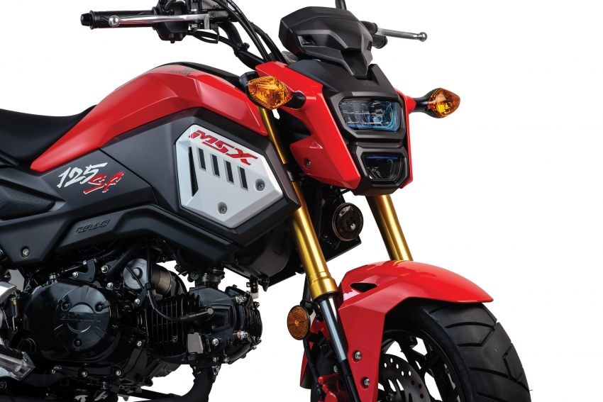 Honda MSX 125 ra mat phien ban mau moi anh 3