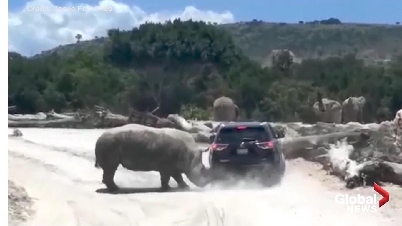 Te giac huc tung chiec SUV hinh anh