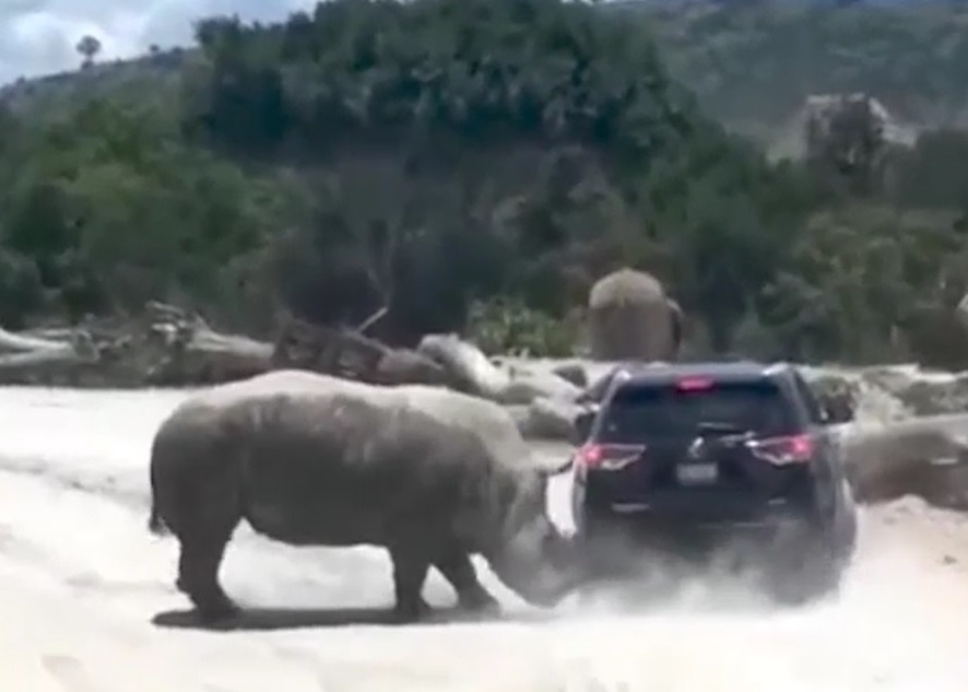 Te giac duc huc lien tiep chiec SUV de gay an tuong voi ban tinh hinh anh