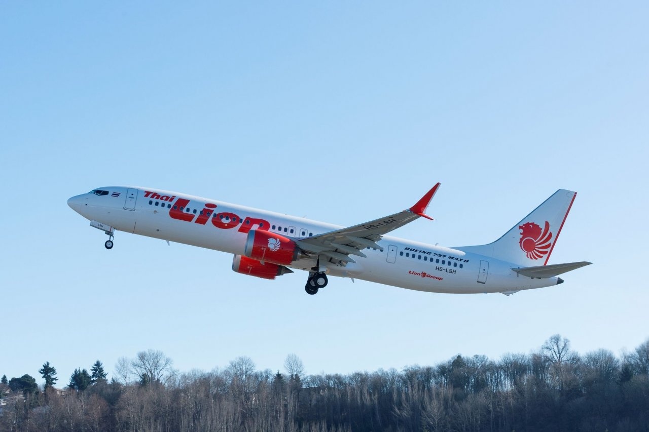 Mau may bay Boeing 737 vua roi cua Lion Air co gi dac biet? hinh anh