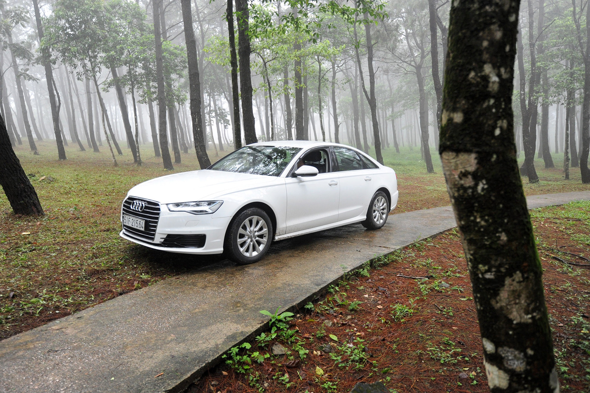 Audi trieu hoi 103 chiec A6 anh 1