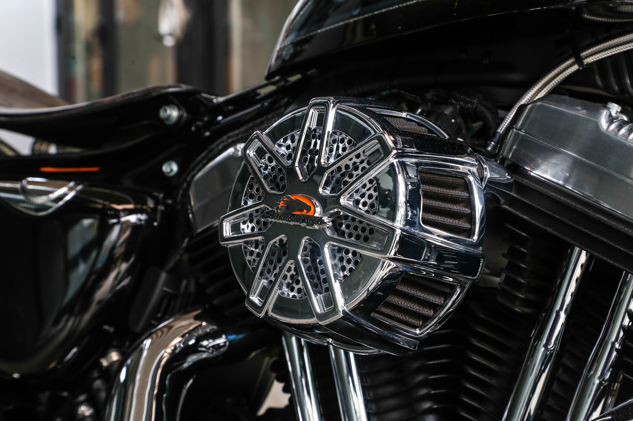 Harley-Davidson Sportster độ ảnh 9 Harley-Davidson Sportster do anh 9