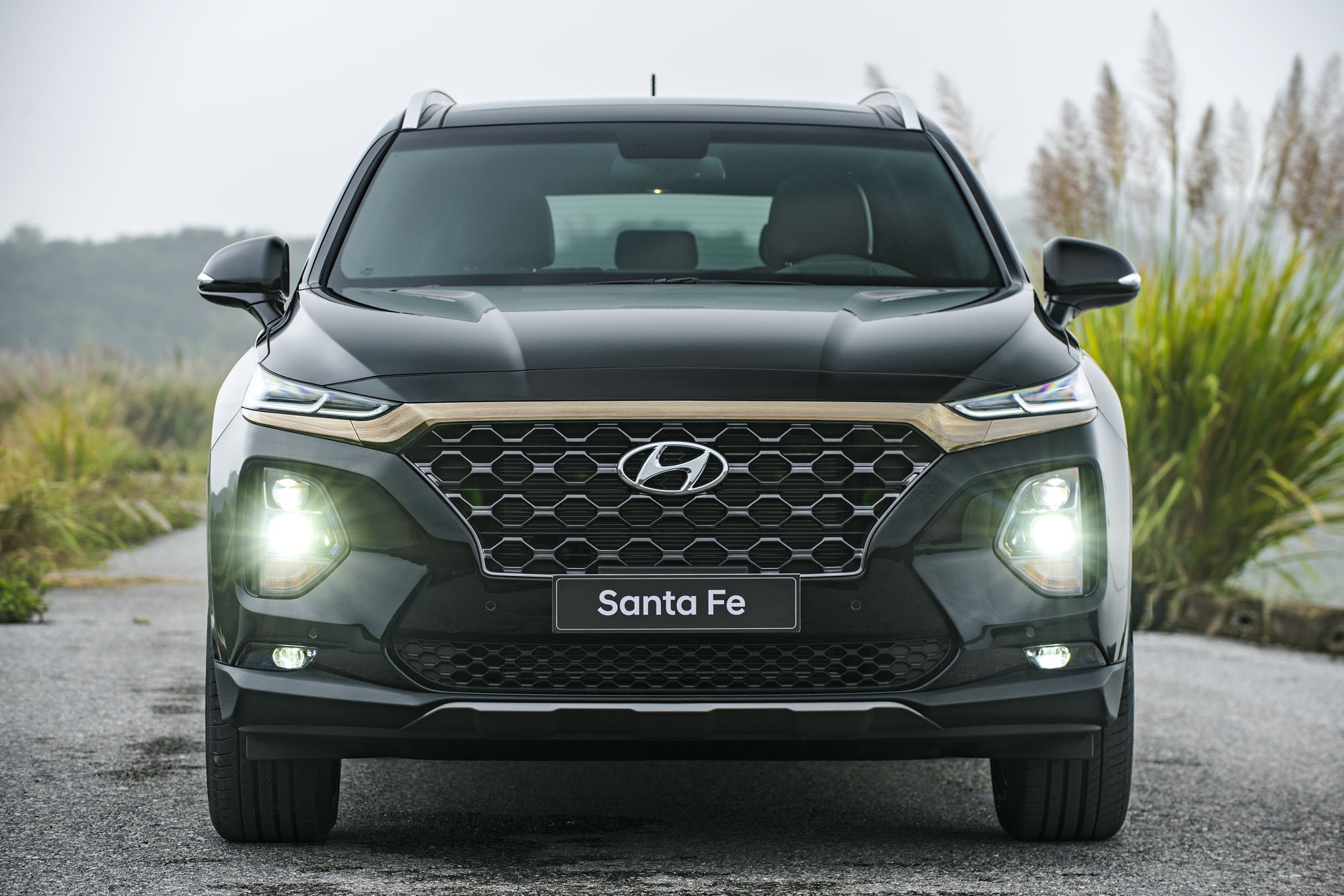 Hyundai Santa Fe ban 'bia kem lac' chenh 100 trieu, hang noi gi? hinh anh