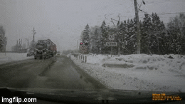 Tau hoa hat vang chiec xe container dung ngang duong ray hinh anh