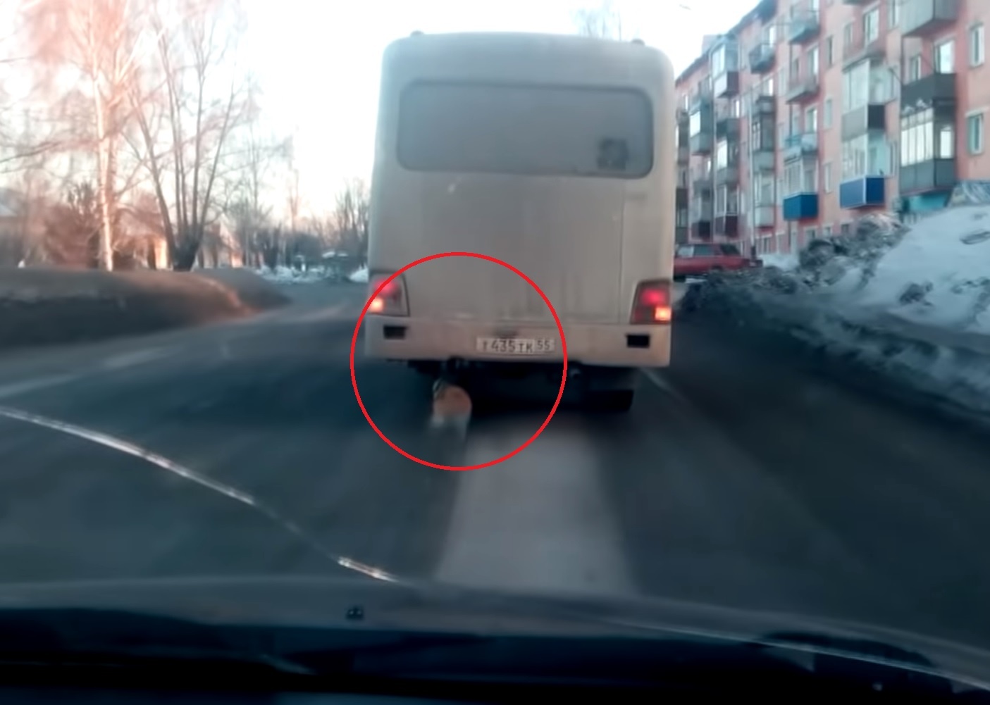 Xe buyt roi banh sau van chay tren duong nho gan tam cay go hinh anh